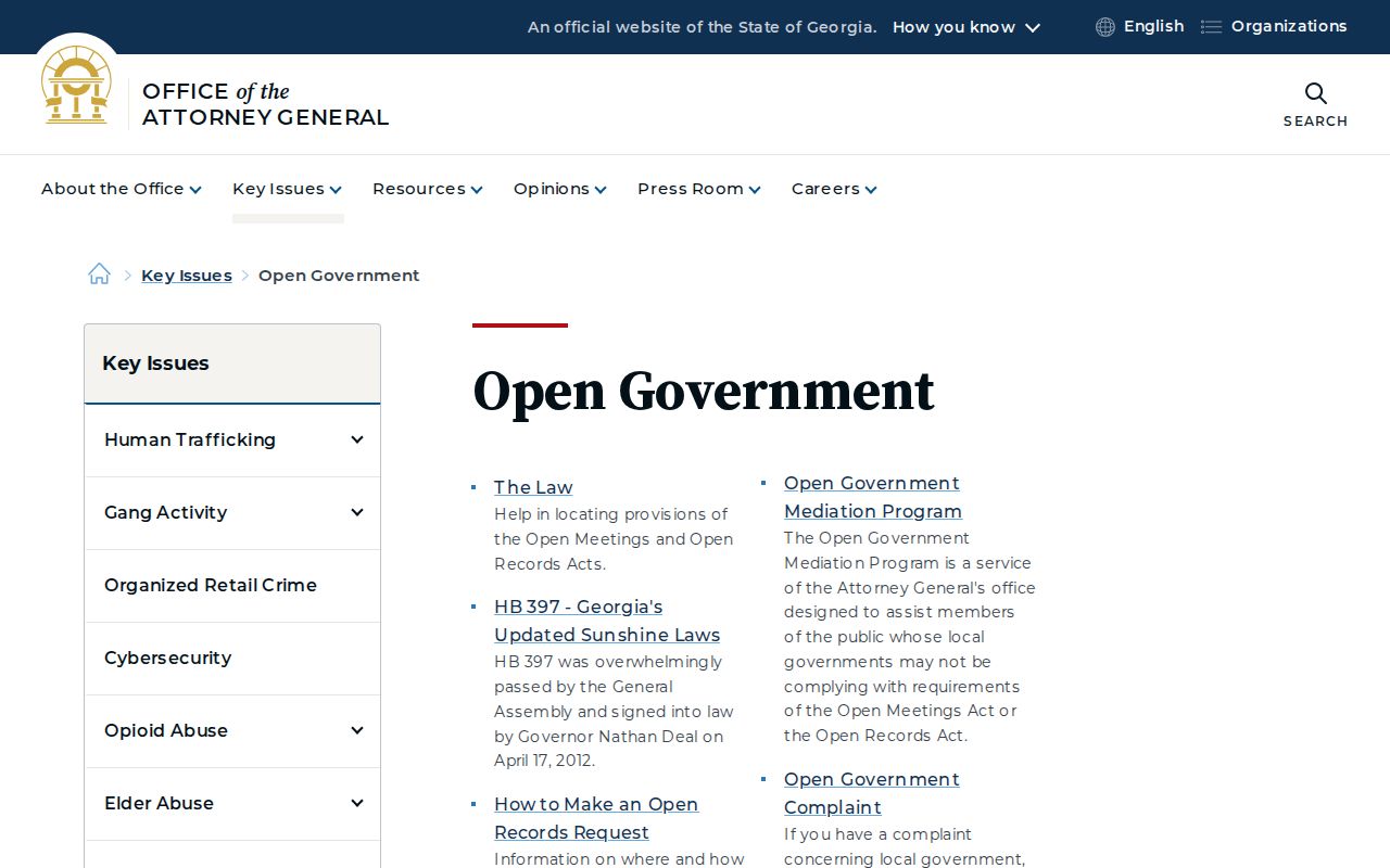 Rochelle criminal history Georgia open-government guidance